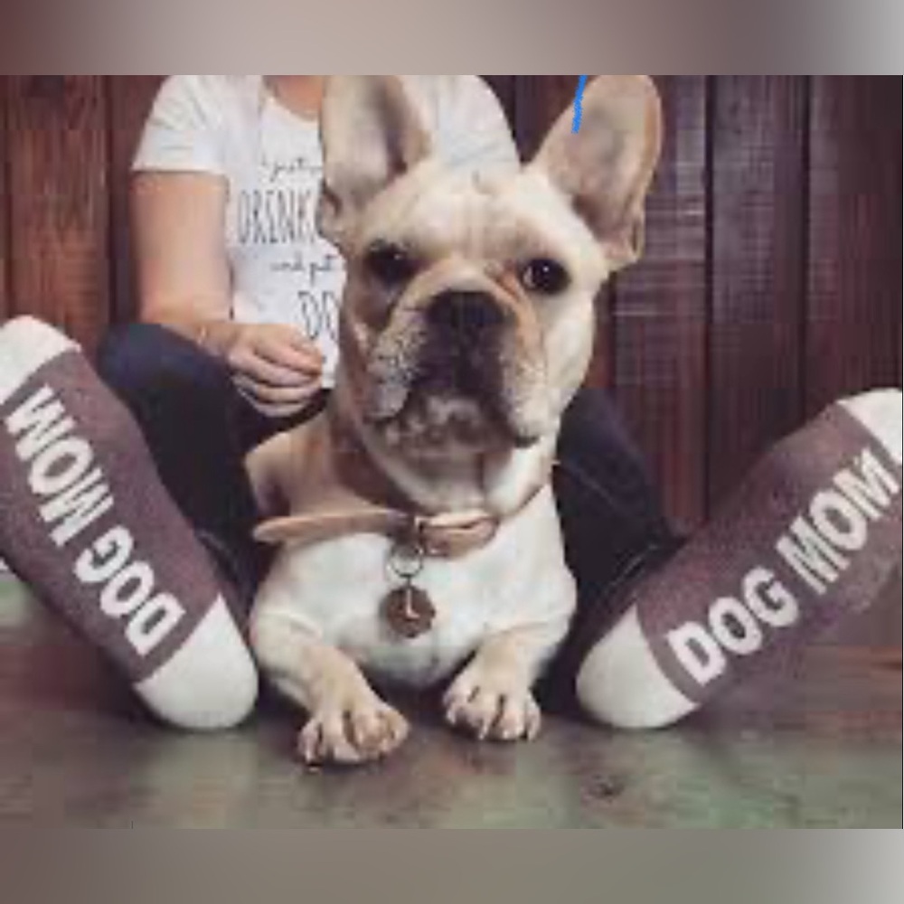 NWT Altar’d State Dog Mom Socks